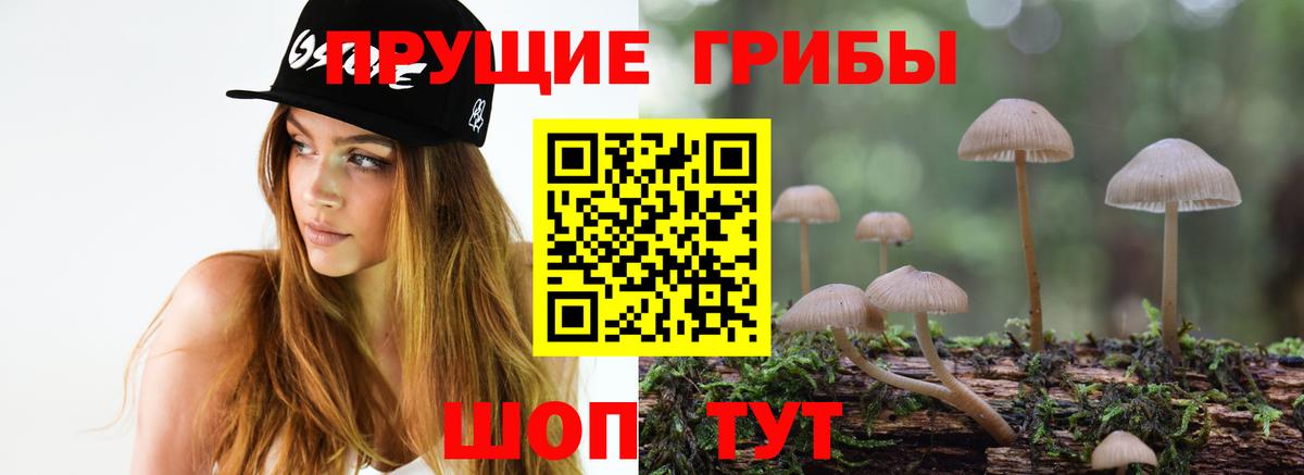Гатчина  дарнет шоп  Вход с VPN  Галлюциногенные грибы ЛСД 